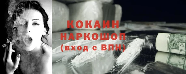 a pvp Горняк